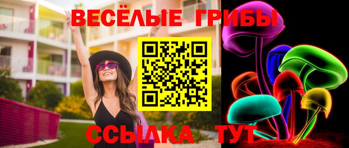 Псилоцибиновые грибы Psilocybe Маркс