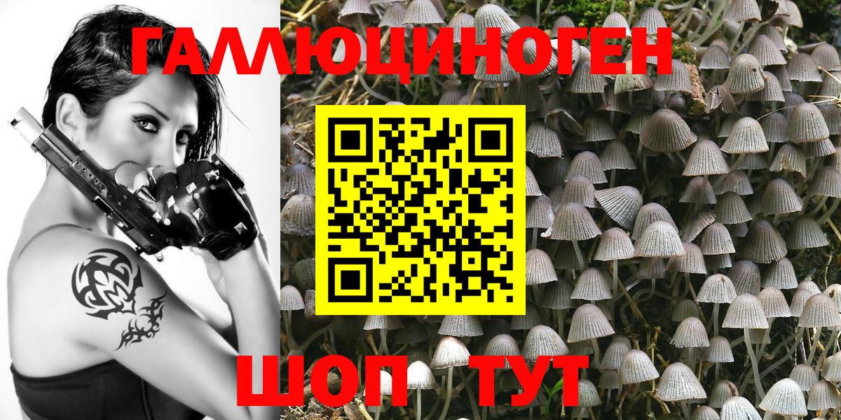 Псилоцибиновые грибы Magic Shrooms  Вход с VPN  Маркс 